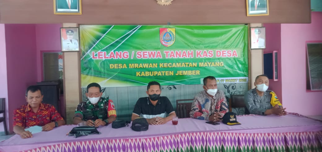 Aset Milik Desa