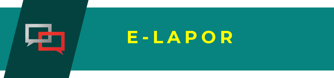 E-LAPOR